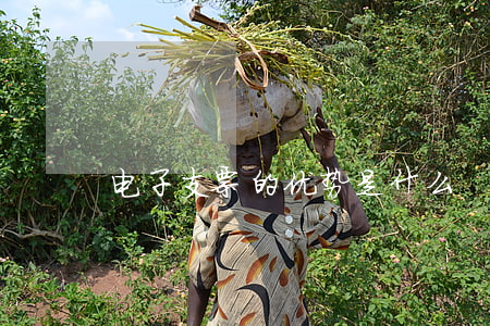 电子支票的优势是什么