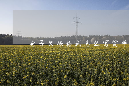电子欠条格式怎么写(简单欠条格式)
