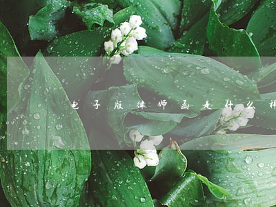 电子版律师函是什么样子的
