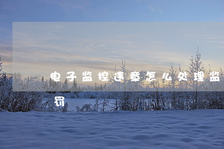 电子监控违章怎么处理（监控违章停车怎么处罚）