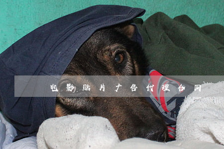 电影贴片广告代理合同