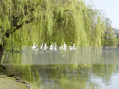 电梯维修证