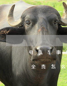 电瓶车事故全责大概赔多少(电瓶车交通事故全责怎么赔偿对方)