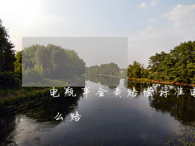 电瓶车全责赔偿标准(电瓶车撞电瓶车全责怎么赔)