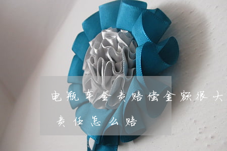 电瓶车全责赔偿金额很大(电瓶车和汽车一半责任怎么赔)