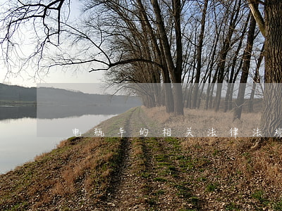 电瓶车的相关法律法规(电动车的法律法规)