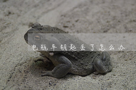电瓶车钥匙丢了怎么办