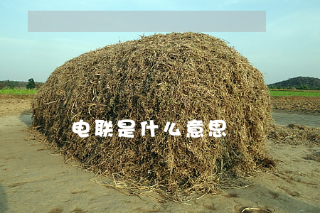电联是什么意思