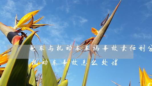 电车与机动车车祸事故责任划分是怎样的（非机动车事故怎么处理）