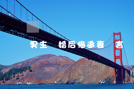 男主離婚后悔追妻臺言