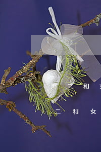 男二和女二離婚(從結(jié)婚到戀愛男二和女二)