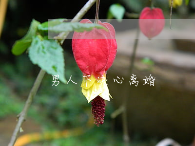 男人下决心离婚