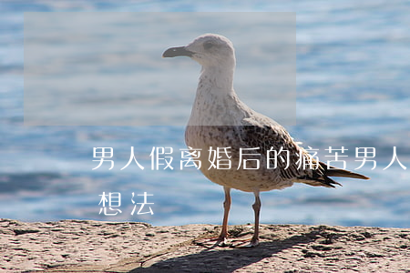 男人假离婚后的痛苦(男人提出假离婚是什么想法?)