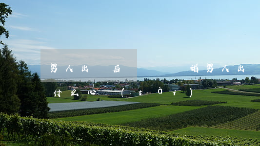 男人出軌后會選擇離婚(男人出軌還要離婚是什么心態(tài))