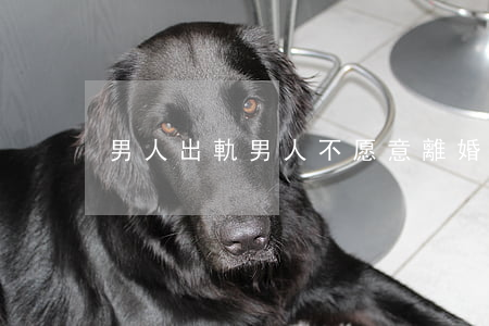男人出軌男人不愿意離婚怎么辦