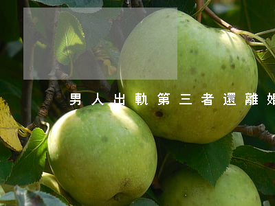 男人出軌第三者還離婚了怎么辦