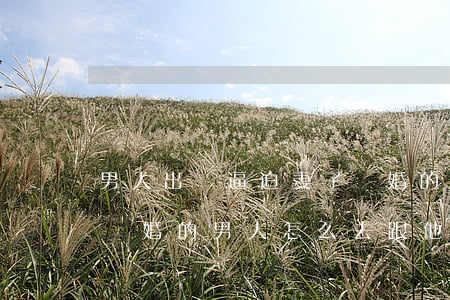 男人出軌逼迫妻子離婚的心理(因為妻子出軌離婚的男人怎么去跟他相處)
