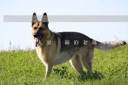 男人出軌逼迫老婆離婚能成功嗎