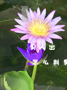 男人出軌離婚財(cái)產(chǎn)怎么判(男人出軌導(dǎo)致離婚,家產(chǎn)怎樣分)