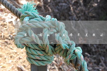 男人出轨不离婚不道歉该怎么办