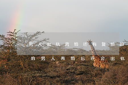 男人出轨离婚还有复婚的可能吗(因出轨离婚的男人再婚后还会出轨吗)