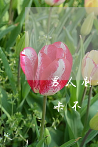 男人刷女人的信用卡不還錢(男的用女的信用卡不還怎么辦)
