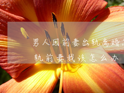 男人因前妻出轨离婚怎么办(请问婚后老公出轨前妻我该怎么办)