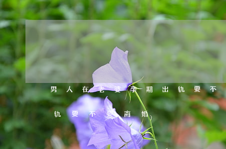 男人在老婆孕期出轨要不要离婚(孕期老公出轨要不要离婚)