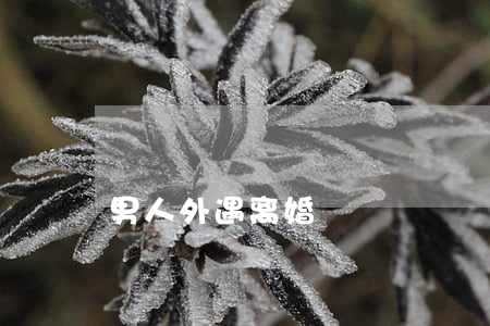 男人外遇离婚