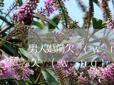 男人婚前欠網(wǎng)貸還不起還隱瞞(欠網(wǎng)貸不還會(huì)影響妻子嗎)