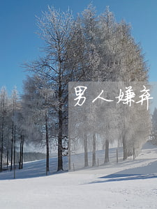 男人嫌弃老婆提离婚(男人厌恶老婆会离婚吗)