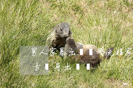 男人家暴出軌離婚流程(家暴出軌離婚能讓男方凈身出戶嗎)