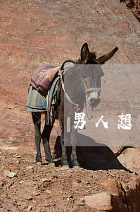 男人想离婚又怕孩子怎么办