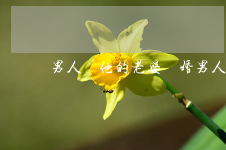 男人愛他的老婆離婚(男人愛他的老婆離婚)