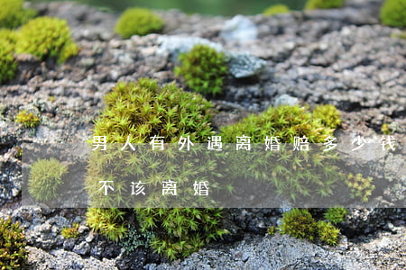 男人有外遇离婚赔多少钱(男人有外遇女人该不该离婚)