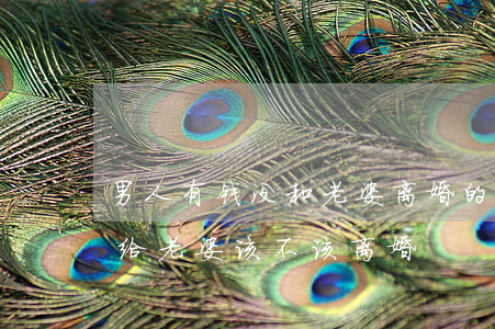 男人有钱没和老婆离婚的多吗(老公有钱都不给老婆,该不该离婚)