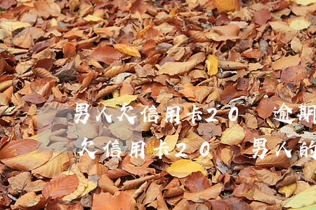 男人欠信用卡20萬逾期7個(gè)月-欠信用卡20萬男人的心態(tài)