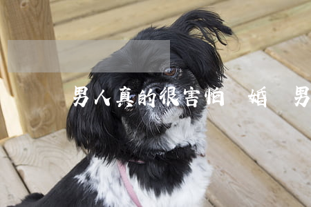 男人真的很害怕離婚嗎(男人為什么害怕離婚)