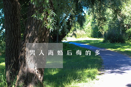 男人离婚后悔的多
