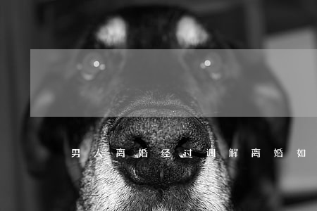 男人离婚经过调解(离婚如何调解)