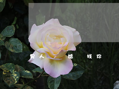 男人說離婚來找你