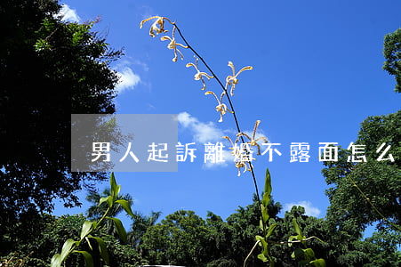 男人起訴離婚不露面怎么辦