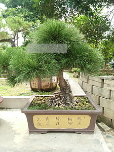 男人選擇離婚后怎么辦