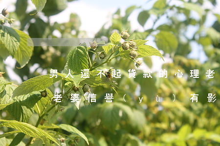 男人還不起貸款的心理 老公還不起貸款會對老婆信譽(yù)有影響嗎
