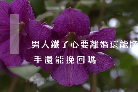 男人鐵了心要離婚還能挽回嗎(男人鐵了心分手還能挽回嗎)