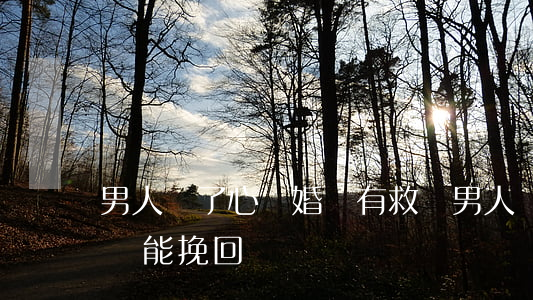 男人鐵了心離婚還有救嗎(男人鐵了心要離婚還能挽回嗎)