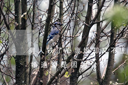 男人铁了心离婚却又不主动(男人铁了心要离婚通常是因为什么)