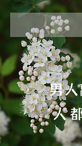 男人離婚了別再再婚(離婚以后再婚,男人和女人都應(yīng)該知道這些)