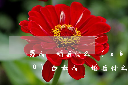 男人離婚后什么時(shí)間最想復(fù)合(女人離婚后什么時(shí)間最想復(fù)合)