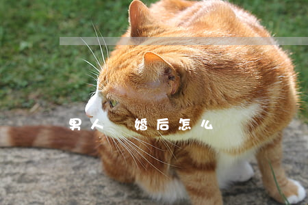 男人離婚后怎么辦